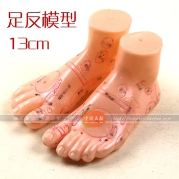 

foot Reflex zones Point Model 13cm free shipping