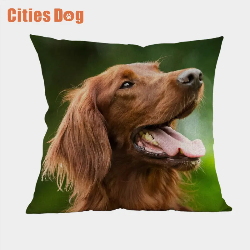 Декоративная наволочка для подушек, чехол cojines decoracion para el hogar linen Gordon Setter dog 45x45, наволочки для автомобильных подушек - Цвет: Q