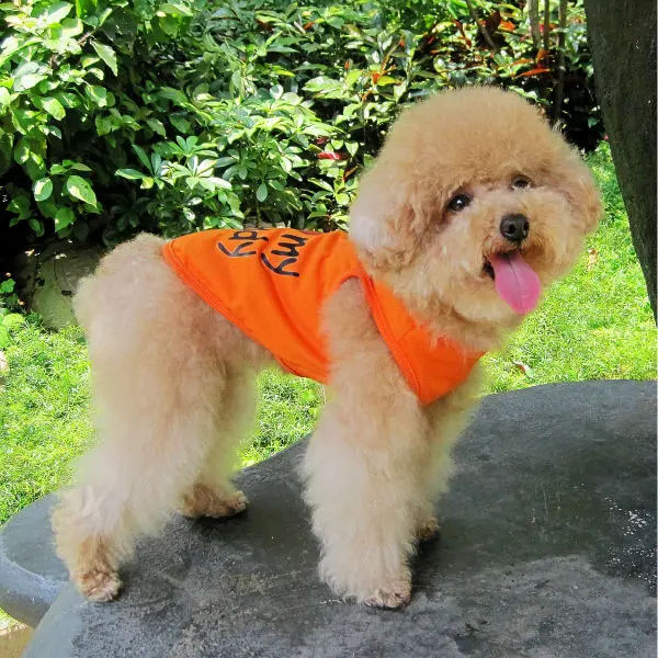 Y40_Sweety_Summer_Pet_Dog_Mesh_Vest_Puppy_baby_dog_Cats_Parenting_Breathable_shirt_Clothing_Love_Mommy_Daddy_Dog_Vest_ (8)