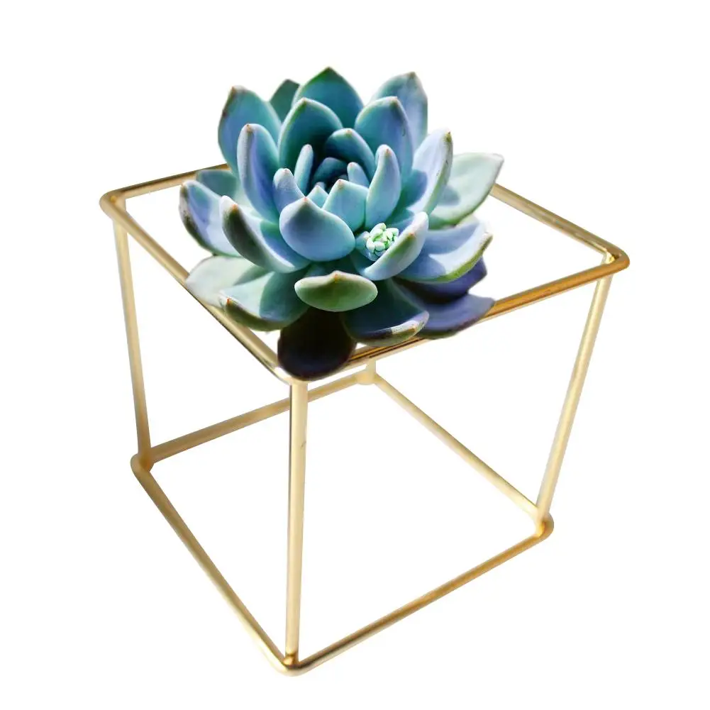 

Rustic Style Iron Freestanding Hanging Metal Geometrical Shaped Small Square Air Plant Receptacle Flower Stand Rack Holder