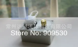 

Micro peristaltic pump flow rate adjustable YW01-C DC12V/24V frss shipping