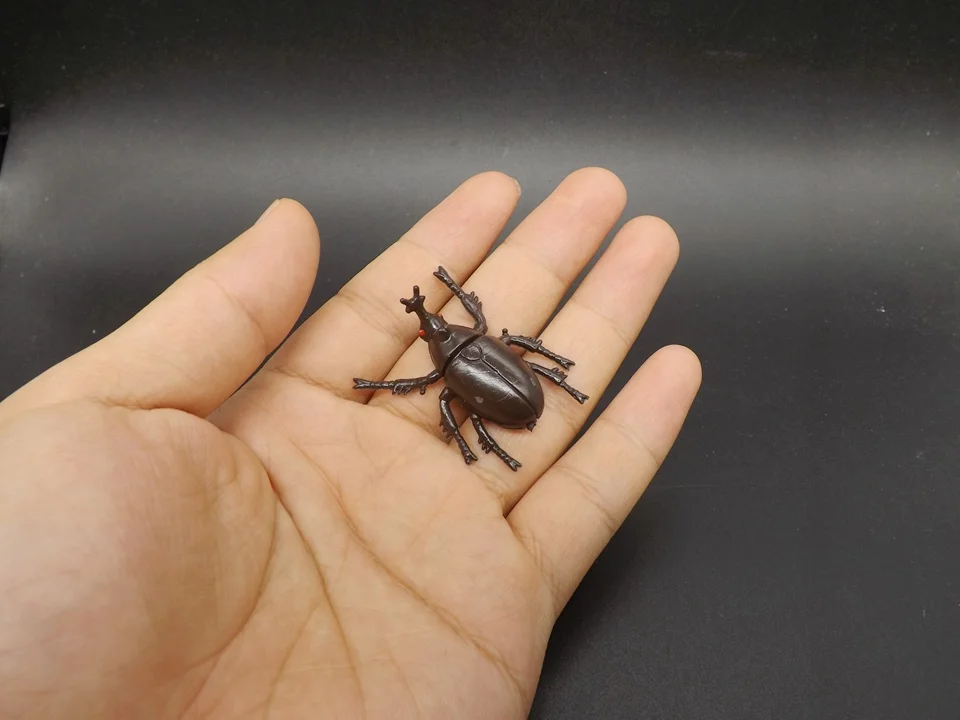J175-Beetle (3)