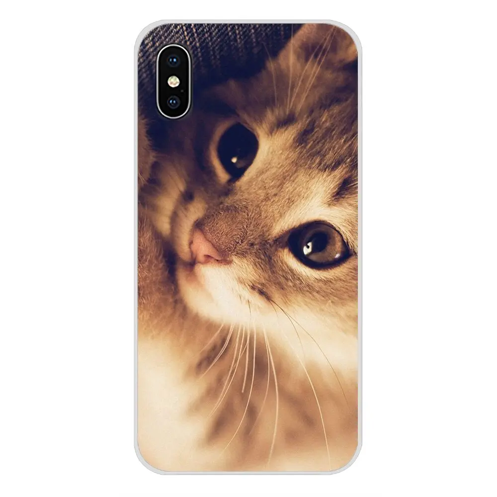 Силиконовые чехлы для телефонов милые молитвенные котята коты Apple iPhone X XR XS MAX 4 4S 5