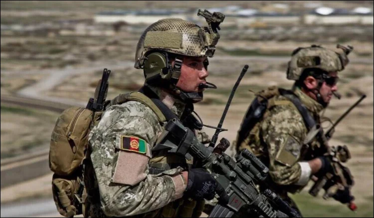 TB2vMPJbFXXXXarXpXXXXXXXXXX_!!139187155