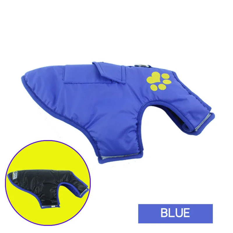 4913930384_609020808