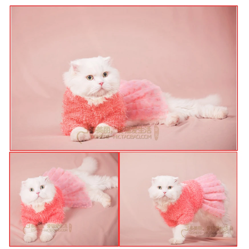 Buy New Arrival! Free Shipping! Pink Cute cat dress Brand New Pet Cat Clothes