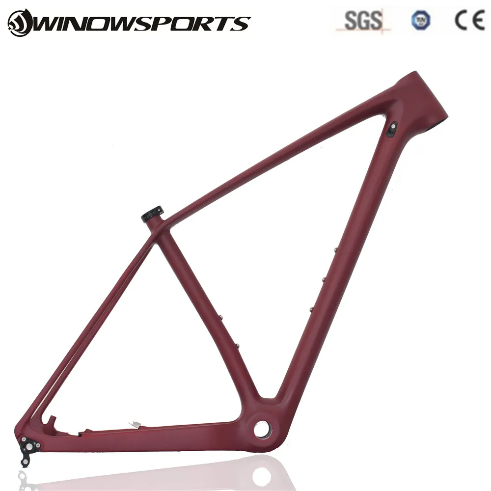 frame 29er bike