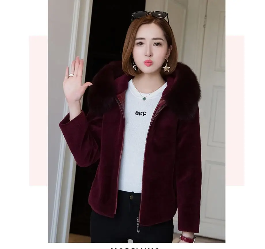 QQ20180822181235
