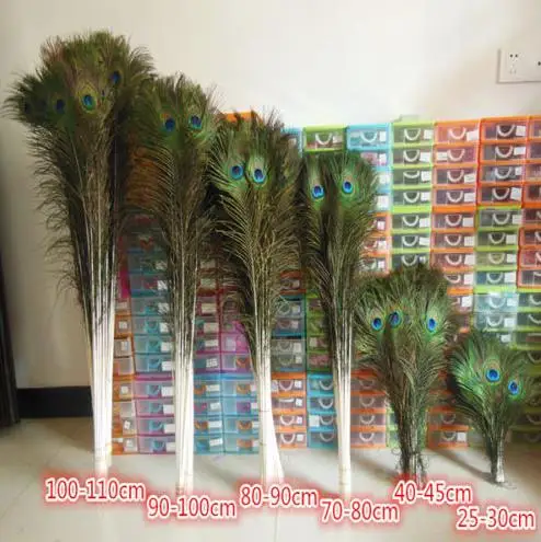 

Natural peacock feathers eyes 9.8-51 inches/25-130 cm party decoration plumage feather festive event supplies