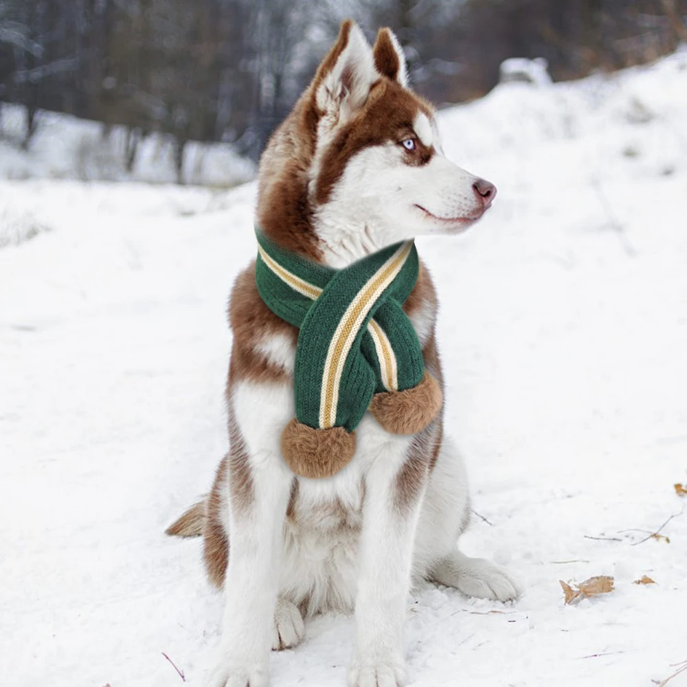 Зимняя для домашней собаки шарф теплый шерстяной шейный платок аксессуары для собак шарфы для маленьких, средних и больших собак щенков, собак, ошейники, зоотовары - Цвет: Зеленый