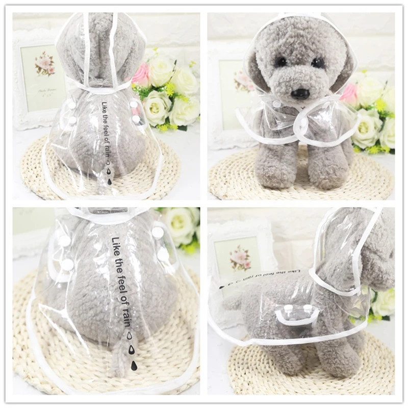 4072717895_799069744