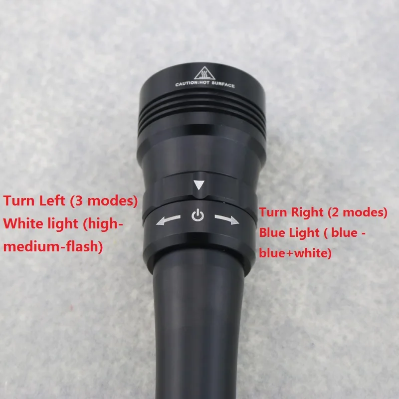 Подводный 100 м Дайвинг видео фонарик 5000 люмен 2x Cree L2 белый свет+ 2x Cree синий свет лампы+ 2x18650 Батарея+ Зарядное устройство