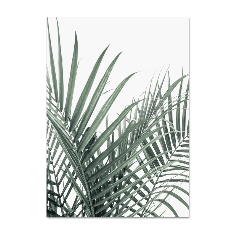 Тропические настенные художественные принты, ботанический холст, живопись, современный лист монстеры, принт, банановый лист, плакат, настенные картины для гостиной - Цвет: L582-1