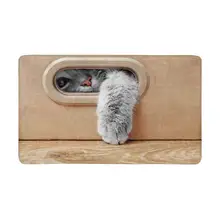 Милый Кот в картонной коробке внутренний входной коврик нескользящий, дверной половик ковер домашний декор