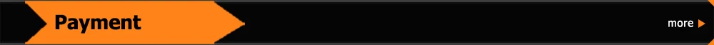 Payment1000