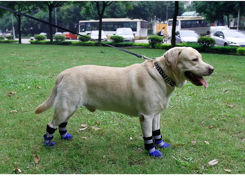 Doglemi отражает все погоду Водонепроницаемый собака Сапоги и ботинки для девочек Pet Снегоступы Обувь