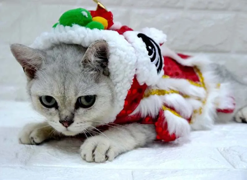 Новогодний танцевальный костюм льва в китайском стиле с блестками, утепленная теплая одежда для собак, пальто для домашних животных, Двусторонняя одежда для кошек, 10A