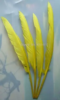

100pcs/lot Quill Feathers Yellow Color 12-16inches/30-40cm Humpback Turkey Feathers For Decoration