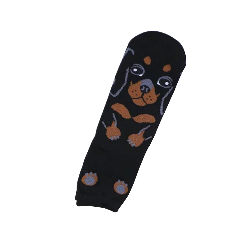 4528632389_297019652