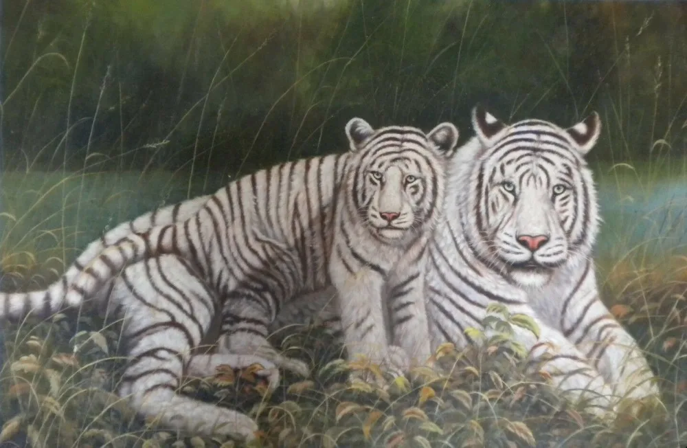 Oil Painting on Stretched Canvas Amazing Pair of White Tigers- 24x36