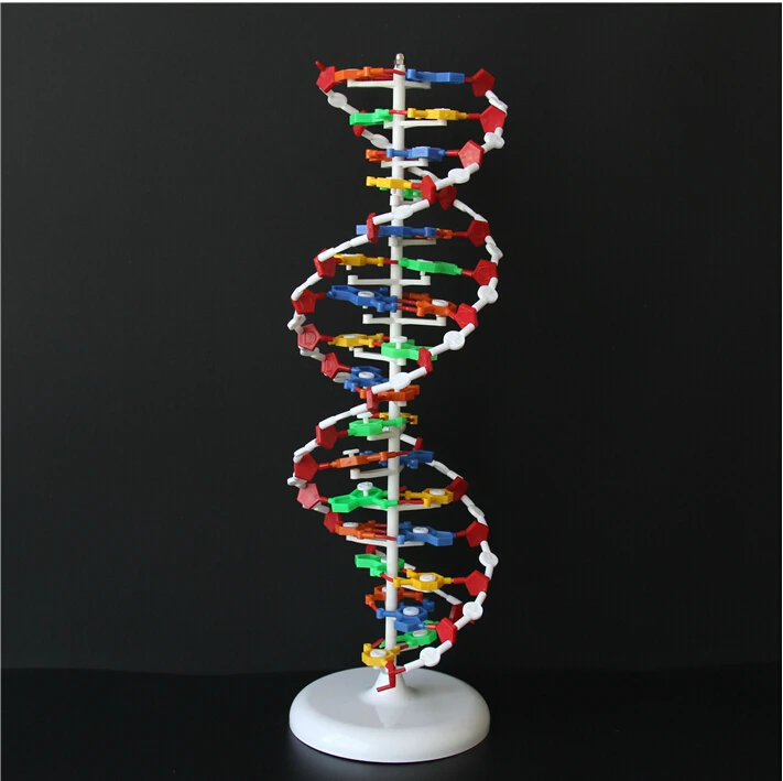 the double helix analysis The double helix is james d watson’s personal account of the discovery of the structure of dna (1953), for which he, francis crick, and maurice wilkins were awarded the nobel prize in 1962 it’s a relatively quick read, dwelling less on science and more on the research atmosphere in post-wwii england and the struggles of those involved in . the double helix analysis The double helix is james d watson’s personal account of the discovery of the structure of dna (1953), for which he, francis crick, and maurice wilkins were awarded the nobel prize in 1962 it’s a relatively quick read, dwelling less on science and more on the research atmosphere in post-wwii england and the struggles of those involved in .
