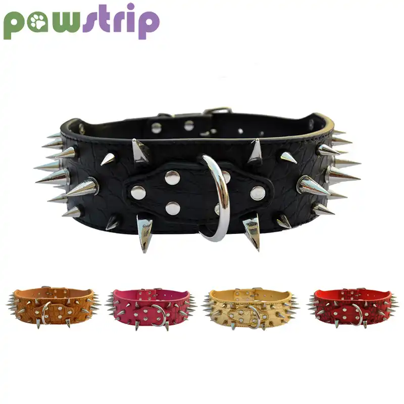 alligator dog collar