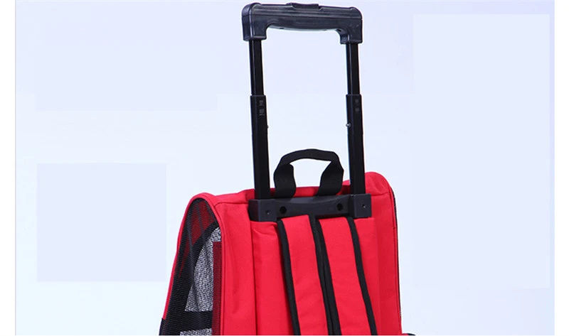 PET BAGS12