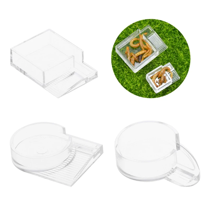 

Ant Farm Food Feeder Nest Feeding Bowl Insect Ants House Water Food Bowl