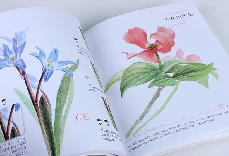Цветной карандаш для рисования 38 видов цветов учебная книга