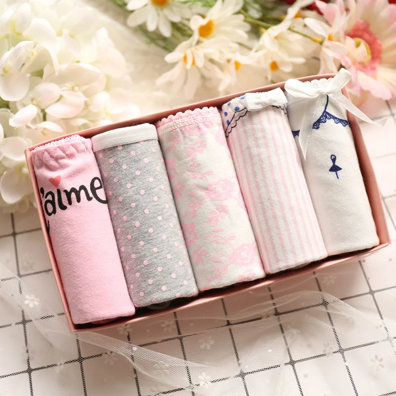 

girl's underwear 5pc/gift box lace cotton candy dot low waist briefs young girl panties Teenagers pants mix 5 style
