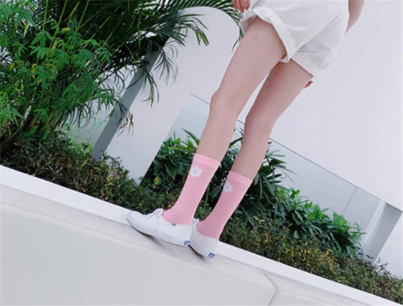 微信截图_20190623131246