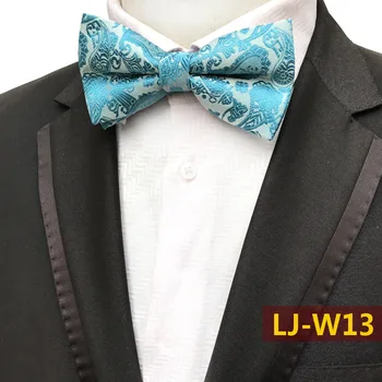 

Lake Blue Classic Paisley Bowties Fashion Accessories Multi Styles Fashion Tuxedo Bow Ties for Men Wedding Party Bow Tie Necktie