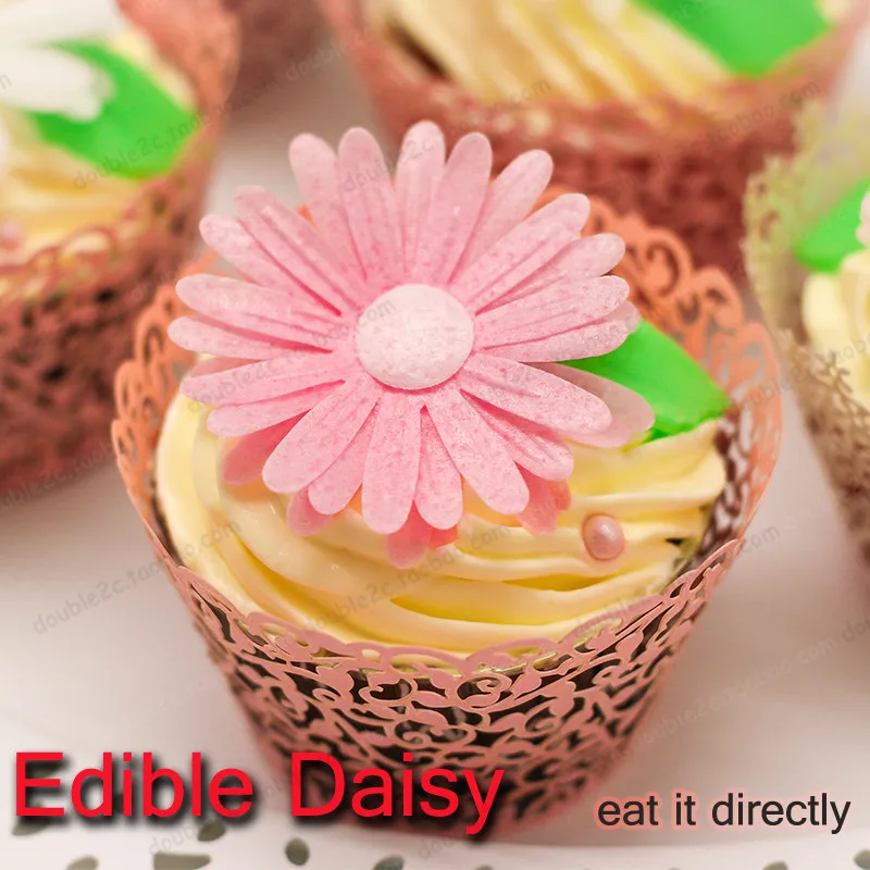 edible daisy flower 1-2