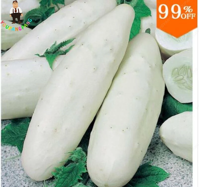 100 шт. овощи и фрукты белый огурец растения бонсай Cucumis sativus для дома овощей