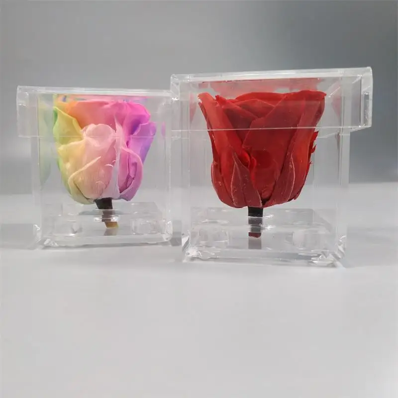 Rose (7)