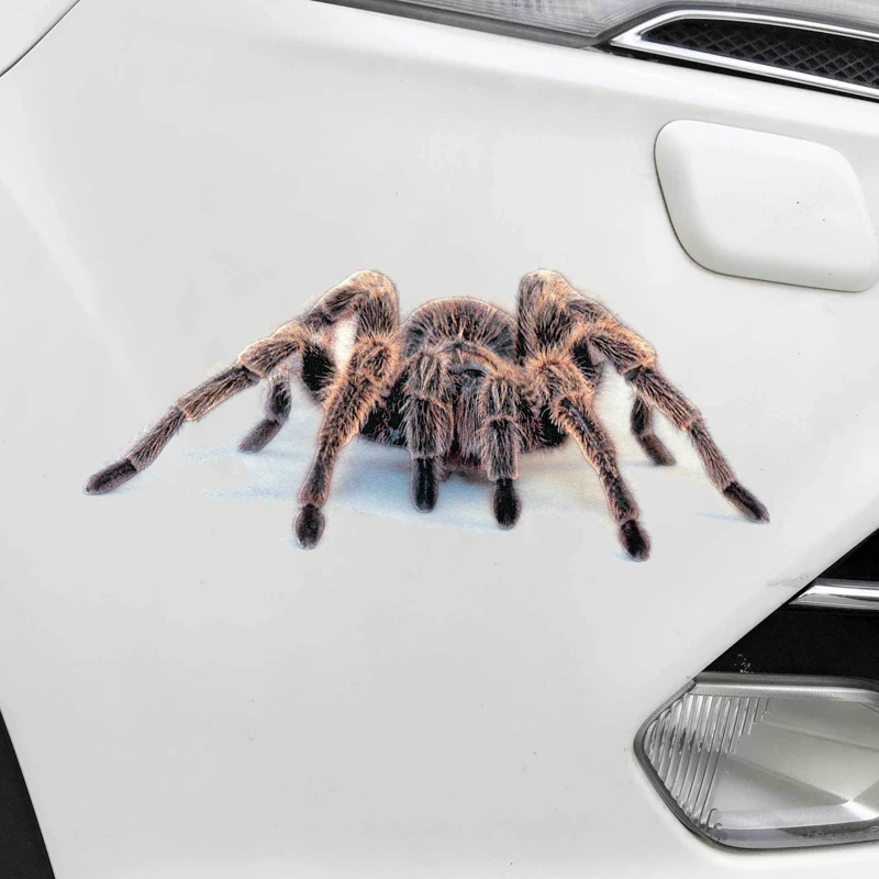 3D Car Sticker Animals Bumper Spider Gecko Scorpions Car-styling Vinyl Decal