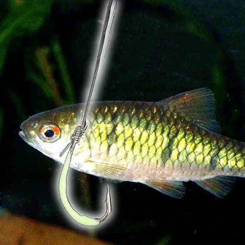 NEW 30pcs Fishhooks Night Light Hooks Outdoor Sports Luminous Fishing Tackle Fishhook