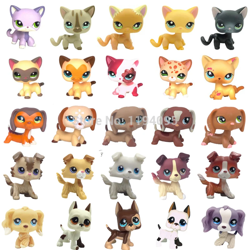 rare font b pet b font shop lps toys standing short hair cat 5 391 little