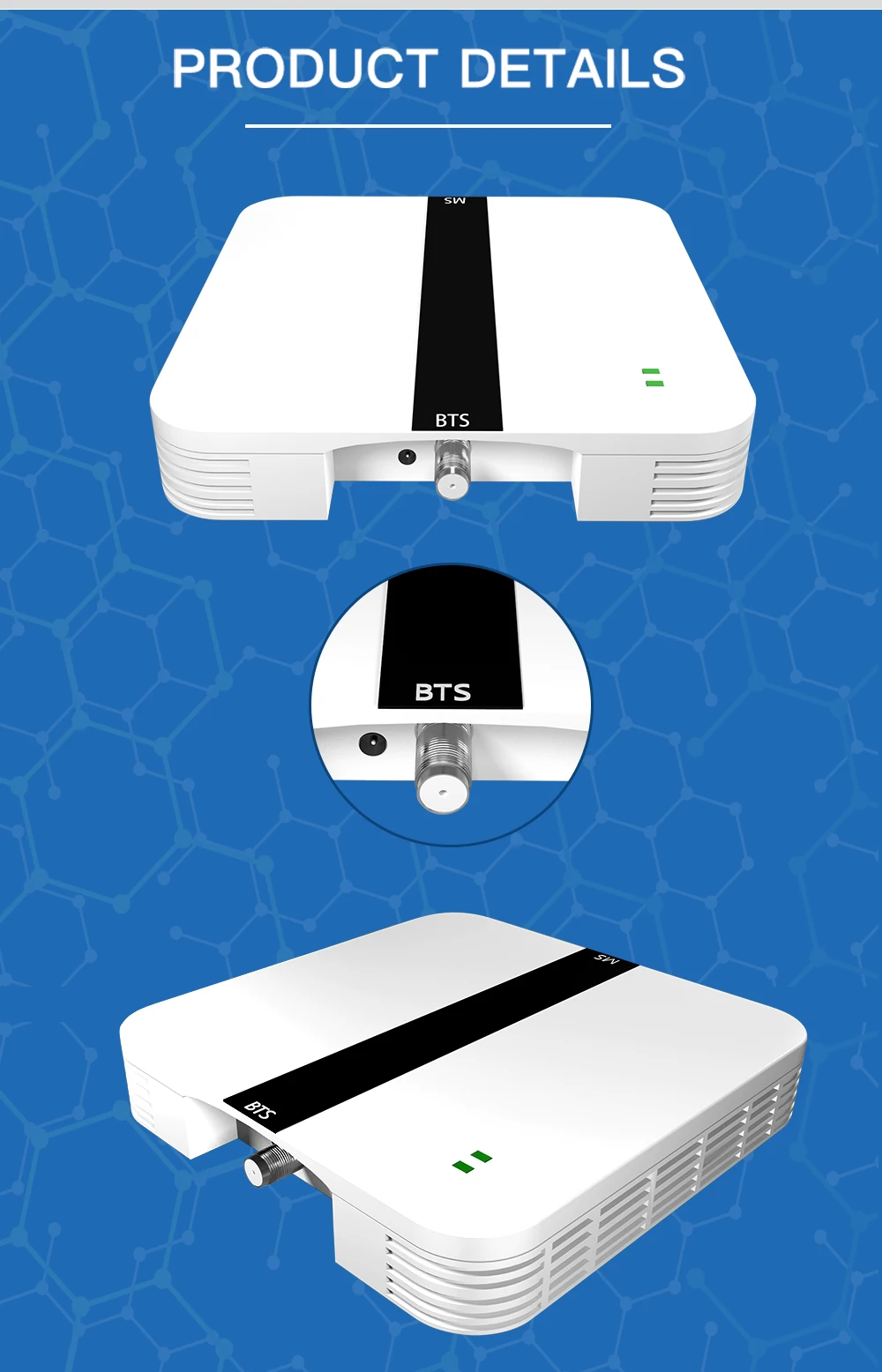 小白详情黑白_07