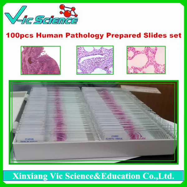 100pcs Human Pathology Prepared Slides Set