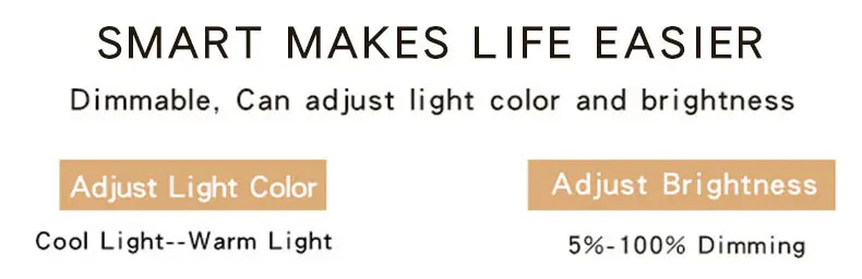 ceiling light