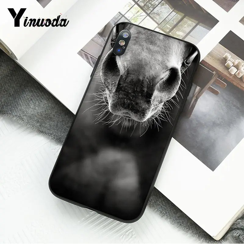 Horse Animal Printed