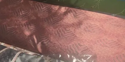 back side