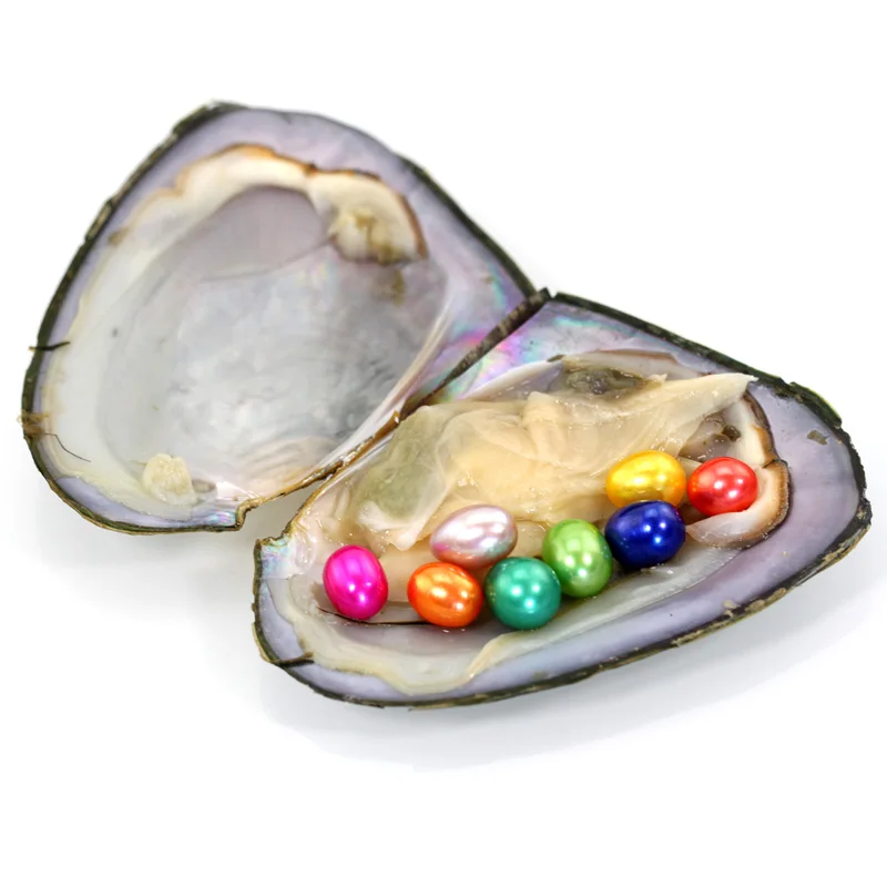 

Kids Party Fun Gifts Rice Multiple Pearls in Oyster with AAA Grade oval Multicolored Freshwater Wish Pearl Vacuum Package FO039