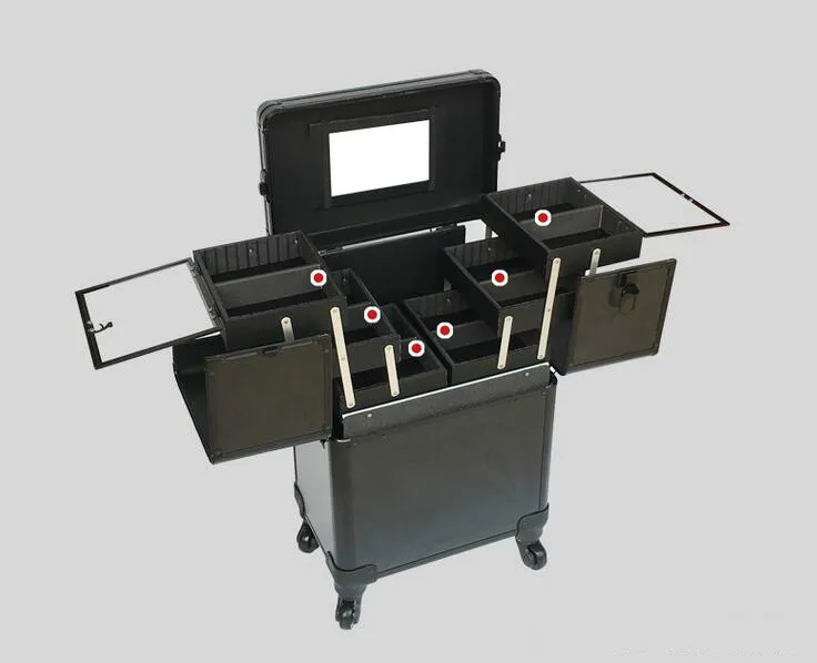 Case (4)