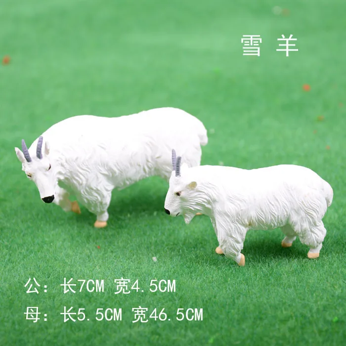 20180411_171848_00000000000000000000