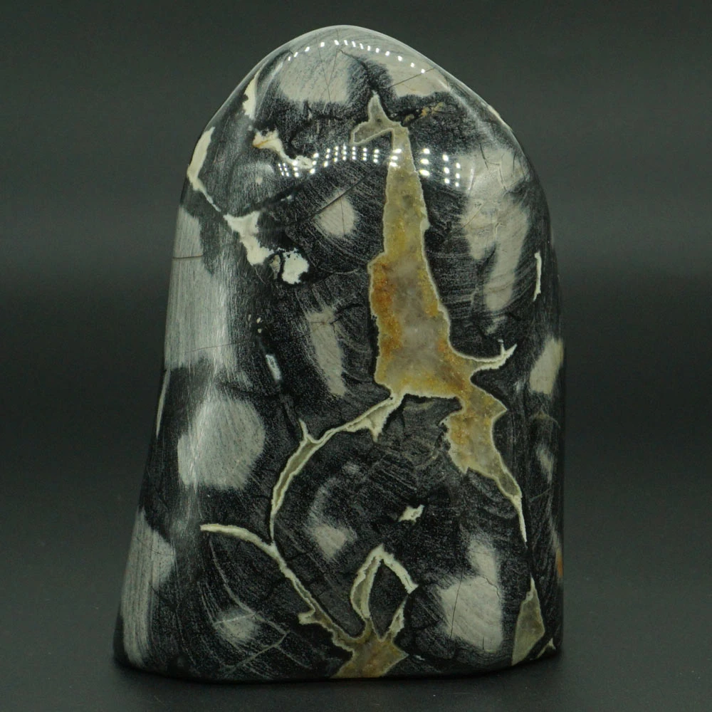 477g Natural Silver Leaf Jasper Palm Stone Crystal Mineral Specimen Rock Home Decor Stones Aliexpress