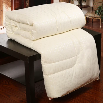

100% Silk Blanket Comforters Chinese Silk Comforter Summer Winter Silk Quilt Four Seasons Duvet Filling Mulberry Comforter