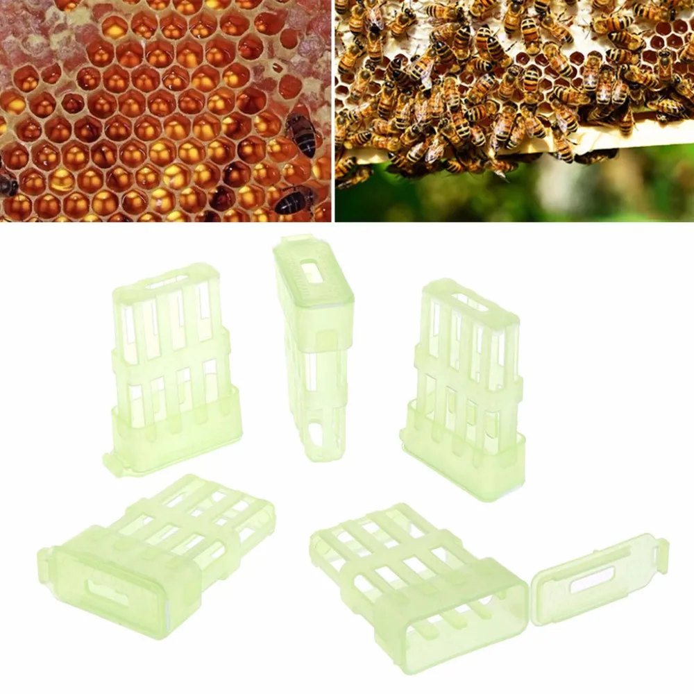 

5 Pcs/set Bee Queen Cage Beekeeping Plastic Prisoner Hive Tools Beekeeper Breeding Beekeepers Equipment Tool C42
