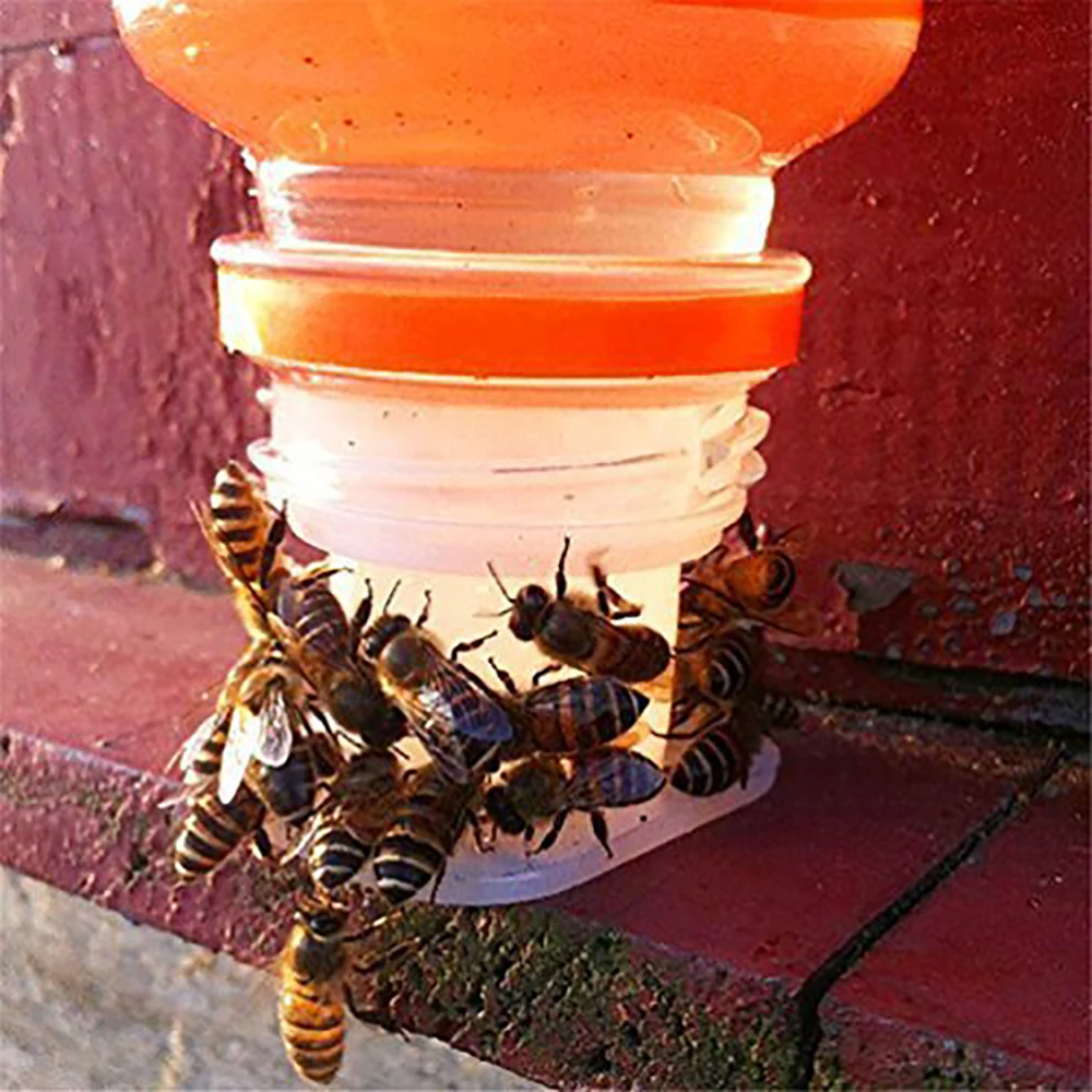 30 шт. пластиковые иглы отверстие тип анти утонуть кормушки для пчел еда стаканчик воды поилки Питьевая чаша водонагреватель поилки пчелы поставки